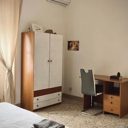 Shared In Center. Катания